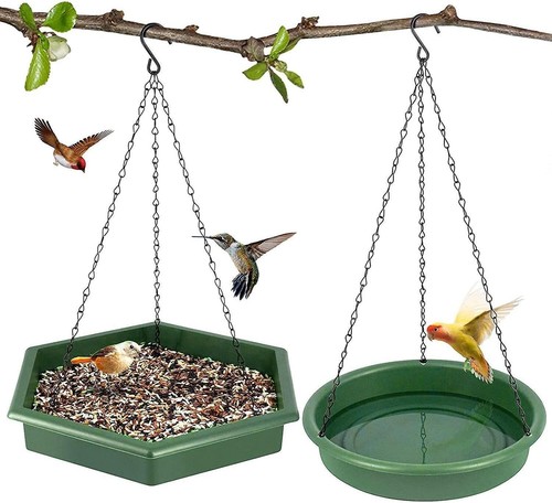 Bird feeder and - and, bath