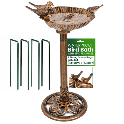 Bird bath with ground - bird,