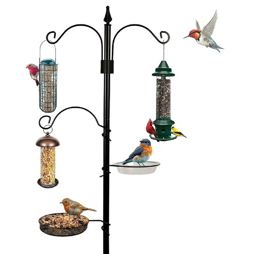 Heavy duty bird feeding - bird,