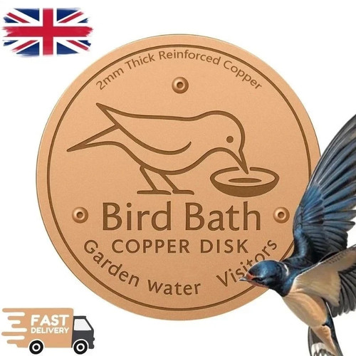 Bird bath copper - bird, water