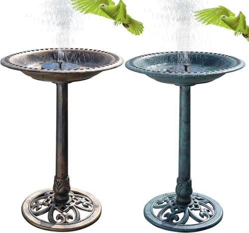 Outdoor patio garden - garden, bird