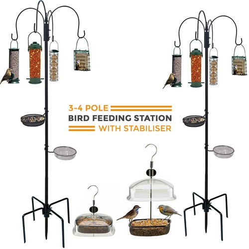 Wild bird feeding station - wild,