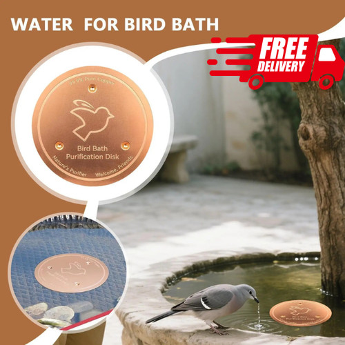 Bird bath copper disk - bird,