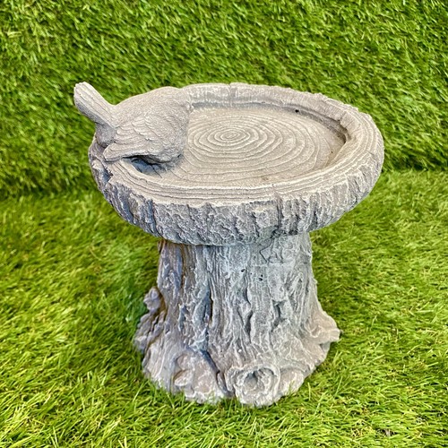 Concrete bird bath - bird, outdoor