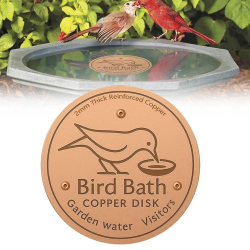 Bird bath copper disk for - disk,
