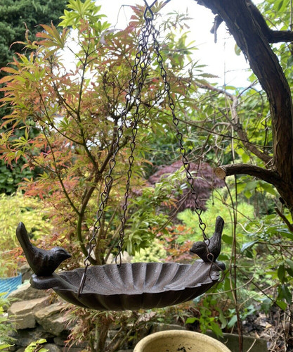 Hanging metal bird - metal, bath