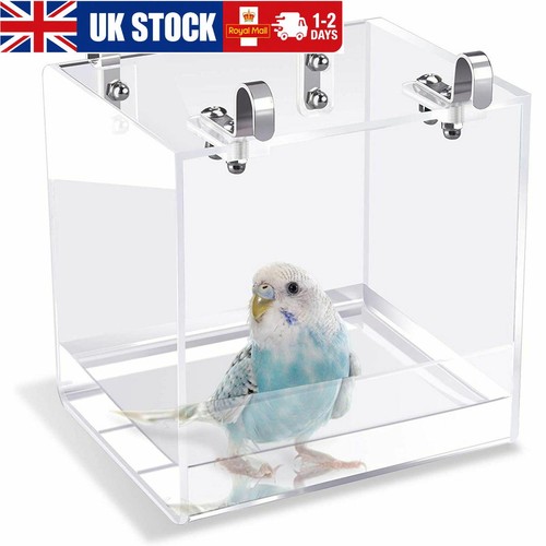 Transparent bird bath for - transparent,