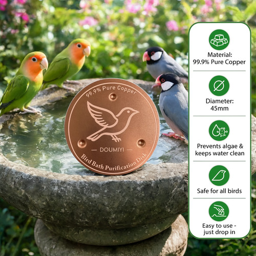 Bird bath copper - bird, disk