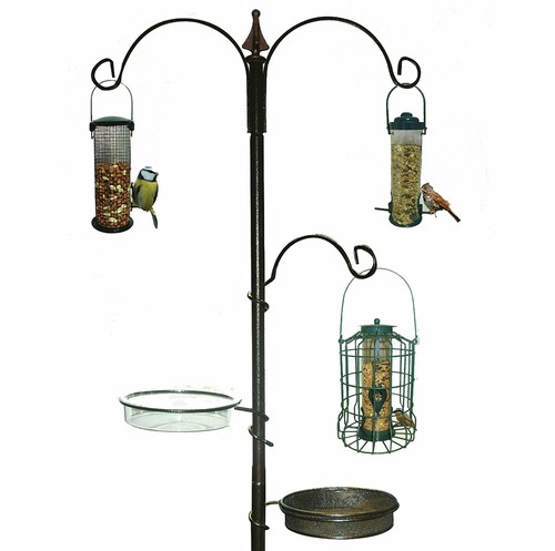 Garden wild bird feeding - bird,