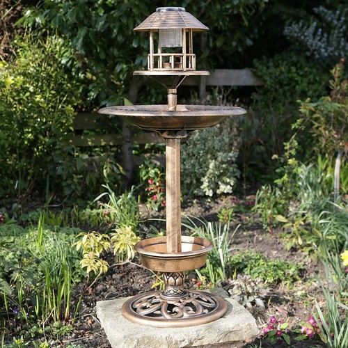 Garden bird bath feeding - bath,