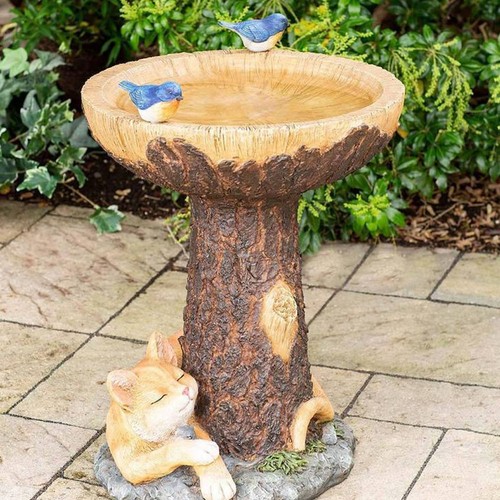 Bird bath feeder - bird, &