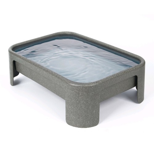 Bird bath feeder on - bird,