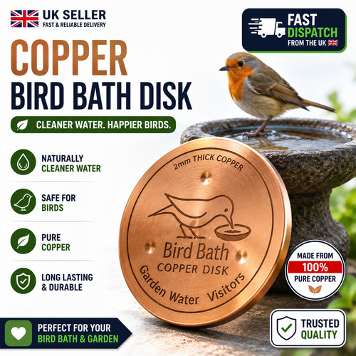 Copper bird bath purification - bird,