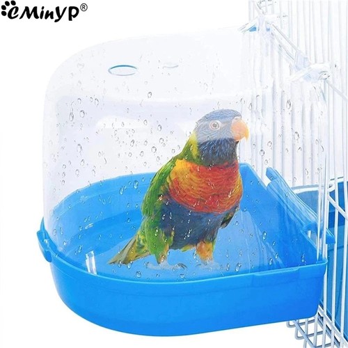 Classic caged bird - classic, aviary