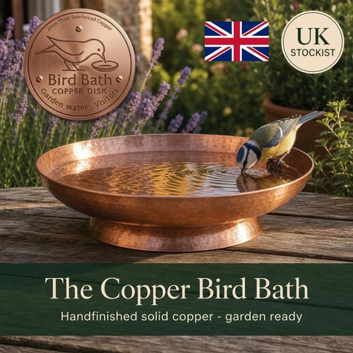 Bird bath copper disk for - disk,