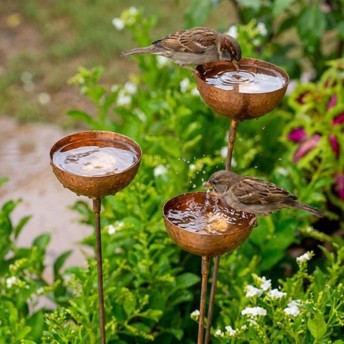 Metal bird bath watering - bird,