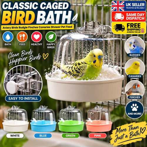 Classic caged bird bath aviary - bird,