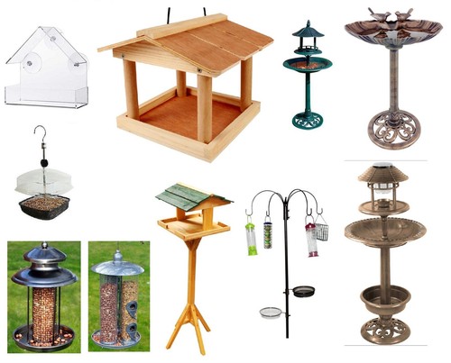New bird ornamental - new,