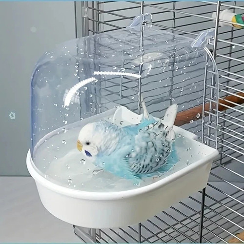 Bird bath tub - bird,