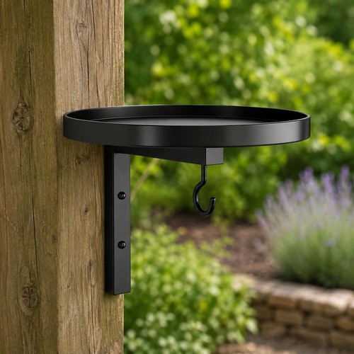 Outdoor wall mounted - wall, bird