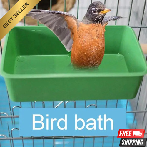 Bird water bath tub - water, pet