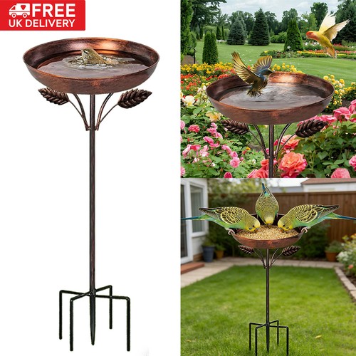 Outdoor patio garden bird - garden,