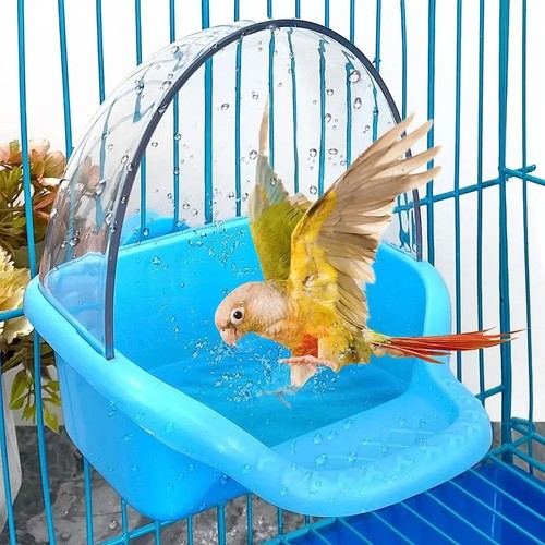 Hanging bird bath - bird,