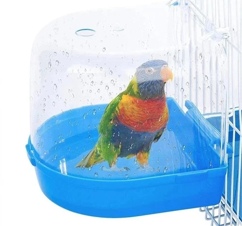 Classic caged bird - bird, aviary