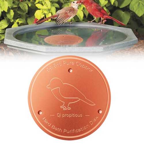 Pure copper bird - pure, bath