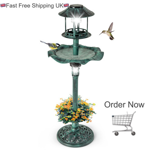 Bird bath feeder with solar - bath,
