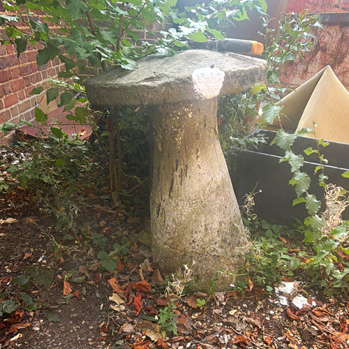 Grey stone garden bird - stone, bath