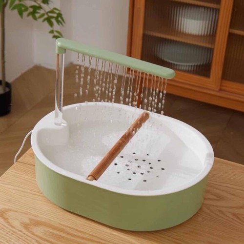 Automatic bird bathtub - bird, parrot