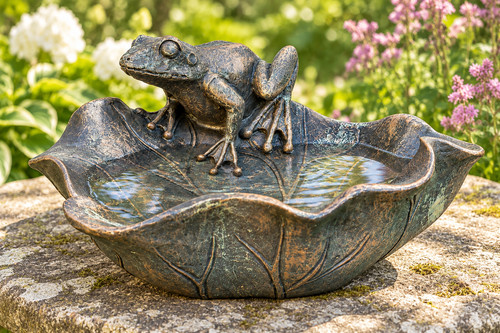 Frog leaf bird - leaf, feeder
