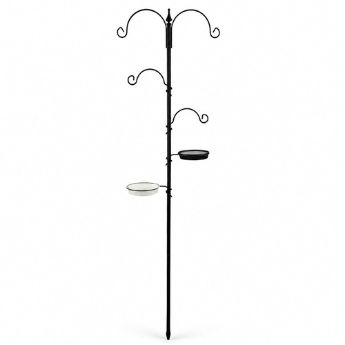 New wild bird - bird, decorative