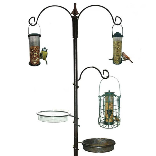 Garden wild bird - garden,