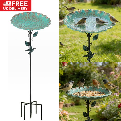 Outdoor garden bird - bird, bowl