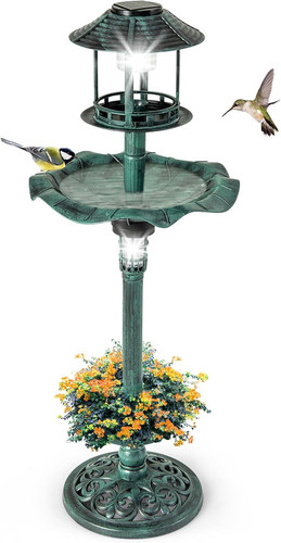 Bird feeder and bath in - bird, bath,