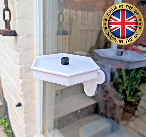 Window mounted garden - , bird